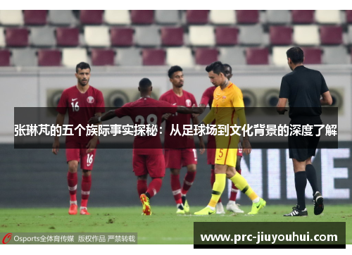 张琳芃的五个族际事实探秘：从足球场到文化背景的深度了解