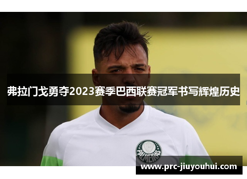 弗拉门戈勇夺2023赛季巴西联赛冠军书写辉煌历史