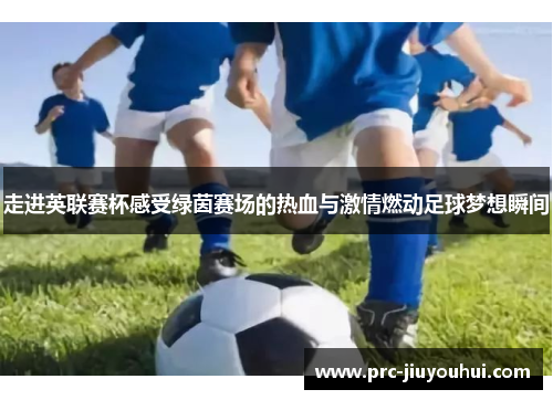 走进英联赛杯感受绿茵赛场的热血与激情燃动足球梦想瞬间