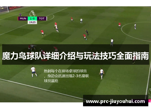 魔力鸟球队详细介绍与玩法技巧全面指南