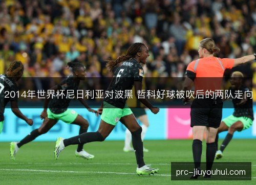 2014年世界杯尼日利亚对波黑 哲科好球被吹后的两队走向